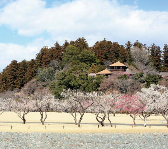 japan3aruaru_13