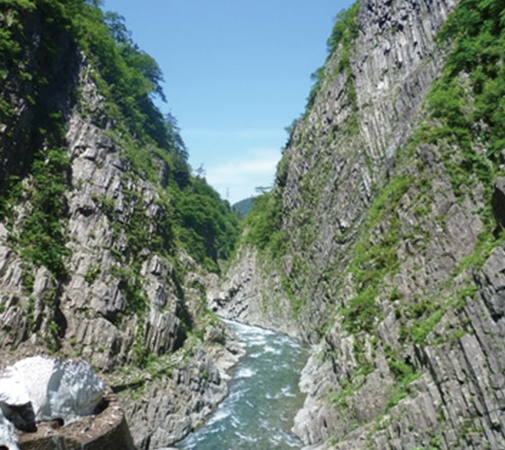 japan3aruaru_22