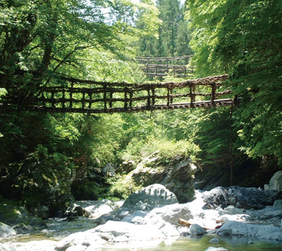 japan3aruaru_26