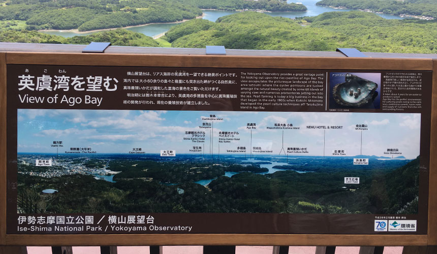 shima2-50