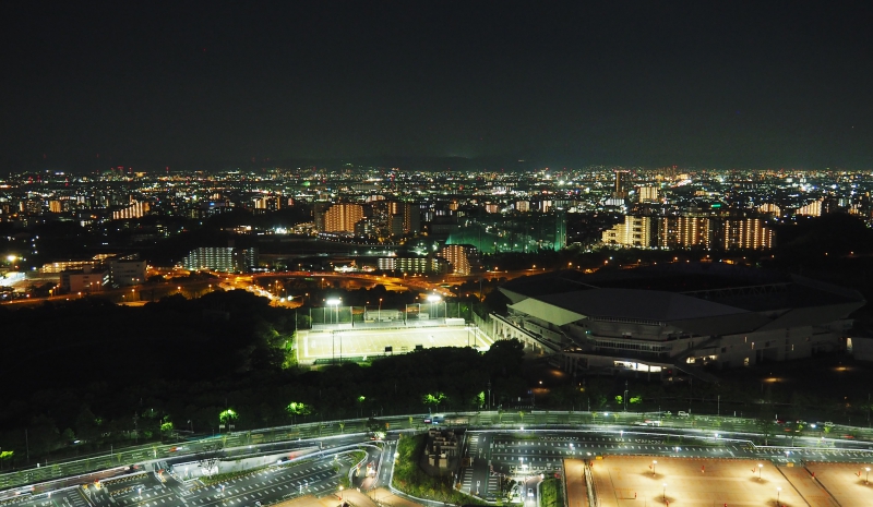 從摩天輪往外一覽城市夜景