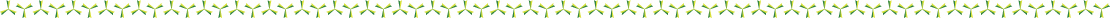 b_ornament_4_2L