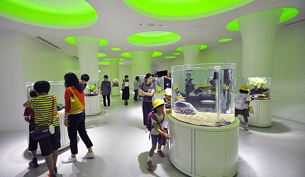 大阪自由行推薦必玩景點「NIFREL」