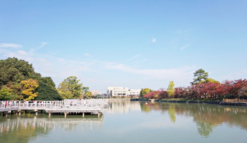 長岡天滿宮「八条ヶ池」