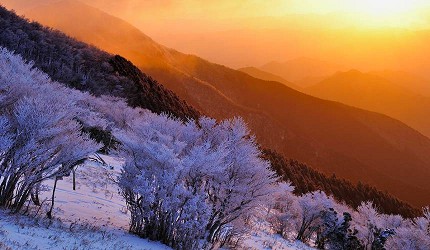 三峰山霧冰
