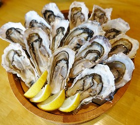 大阪難波海鮮大餐店家推薦「知床漁場 道頓堀店」的1號套餐的鮮甜生蠔