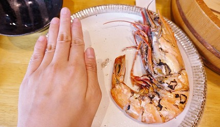 大阪難波海鮮大餐店家推薦「知床漁場 道頓堀店」的2號套餐的比手掌還大的蝦子