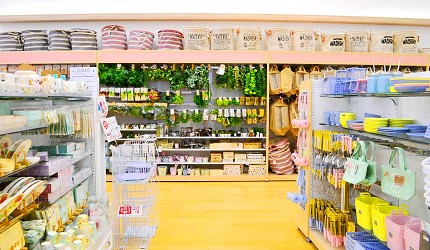 大阪關西機場附近大型購物中心「AEON MALL永旺夢樂城臨空泉南」的「DAISO大創」
