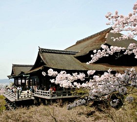 京都的代表景點「清水寺」