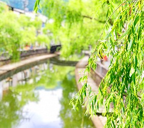 城崎日和山溫泉旅館「金波樓」周邊景點「城崎溫泉」