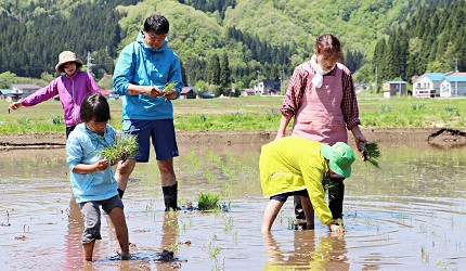 日本合法民宿預約平台STAY JAPAN提供農家體驗農泊