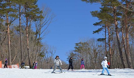 日本關西北海道新潟滑雪自由行滑雪場推薦5選之一的ひるがの高原滑雪場的滑雪客人