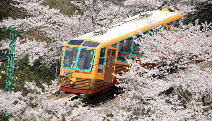 大阪京都神户京阪神私房景点拍照绝景秘境阪急川西能势口站妙见森林